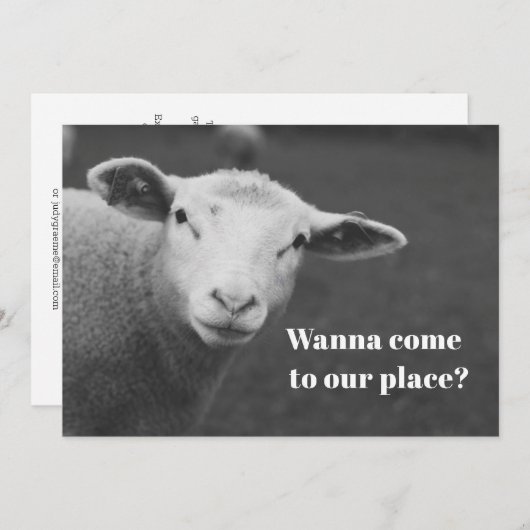 Charming Pesach Invitation 招待状 (正面/裏面)