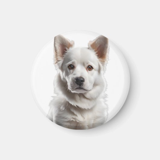 Charming White Shepherd Puppy Portrait マグネット (正面)