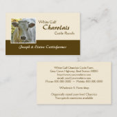 Charolaisのビーフの雄牛か雌牛 名刺 (正面/裏面)