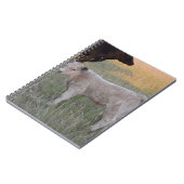 Charolaisの子牛 ノートブック (左側)