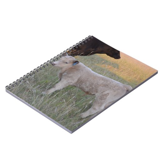 Charolaisの子牛 ノートブック (左側)