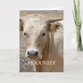 Charolaisの白い牛-西部のアドレス変更 案内状 (正面)