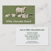 Charolaisは4頭の子牛脅え、 名刺 (正面/裏面)