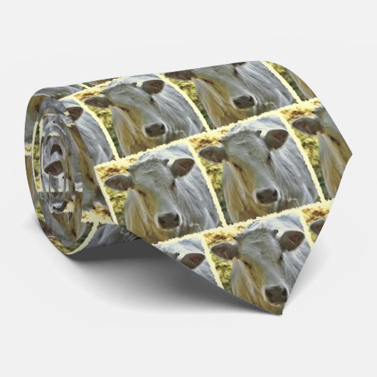 Charolais牛タイ ネクタイ (ロール)