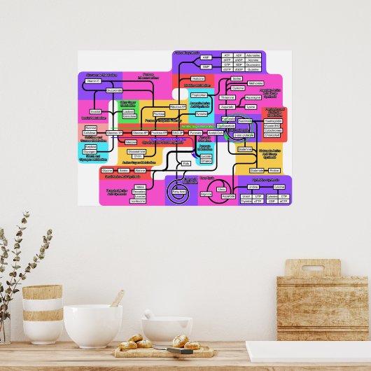 Chart of the Basic Metabolism in Living Organisms ポスター (キッチン)