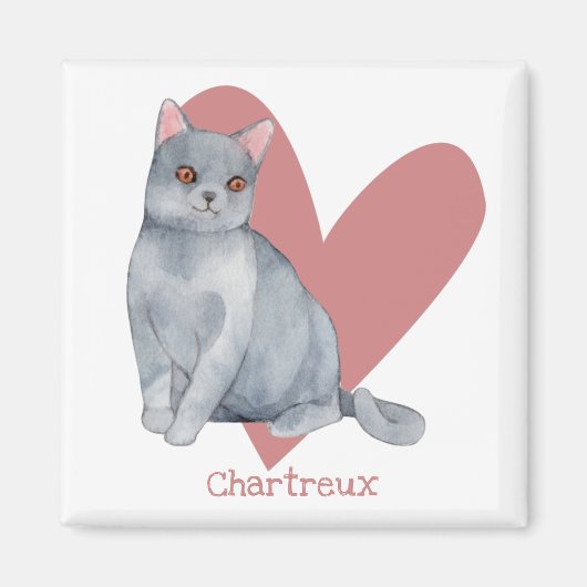 Chartreuxキャットウォーターカラー子猫ピンクハート マグネット (正面)