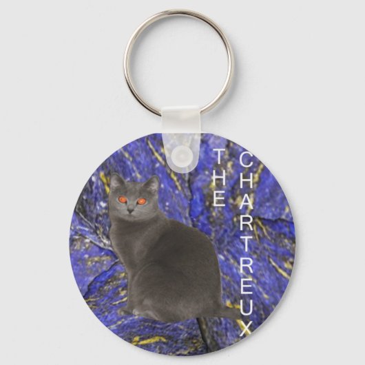 Chartreuxキーチェーン キーホルダー (正面)