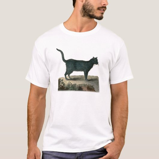 Chartreux猫 Tシャツ (正面)
