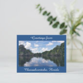 Chassahowitzka Floridaポストカードからの挨拶 ポストカード (スタンド正面)