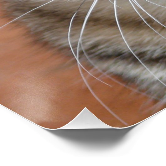 Chat ポスター (コーナー)