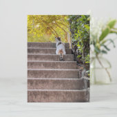 Chat aux aguets (スタンド正面)