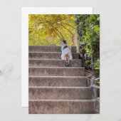 Chat aux aguets (正面/裏面)