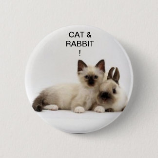 chat et lapin / cat and rabbit siamois ! badge ! 缶バッジ