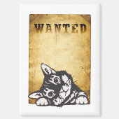 chat recherché マグネット (正面)