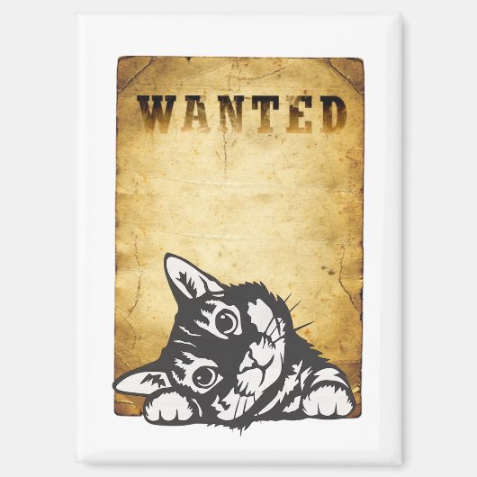 chat recherché マグネット (正面)