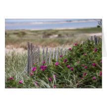 Chatamライトビーチの塀