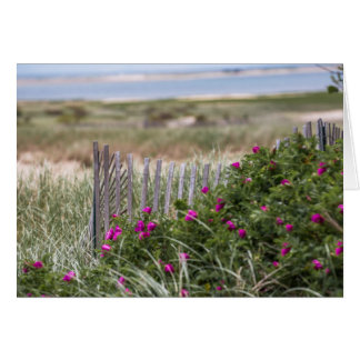 Chatamライトビーチの塀