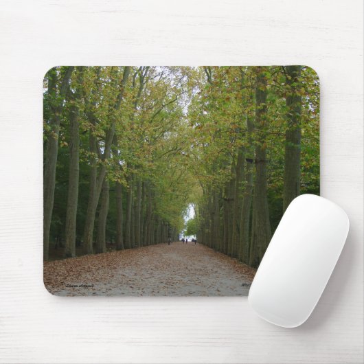 Chateau de Chenonceau Mousepad マウスパッド (マウス)