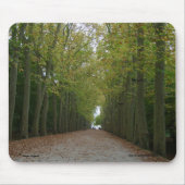 Chateau de Chenonceau Mousepad マウスパッド (正面)