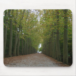 Chateau de Chenonceau Mousepad マウスパッド