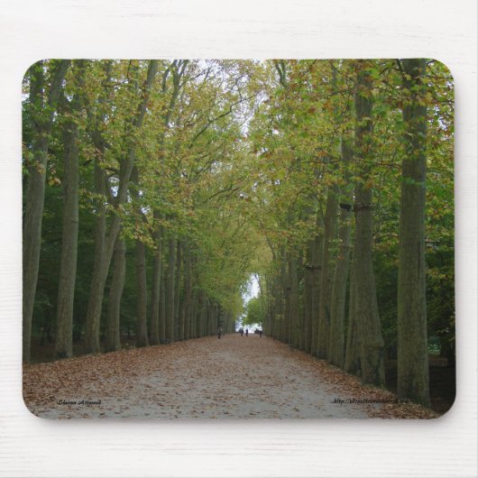 Chateau de Chenonceau Mousepad マウスパッド (正面)