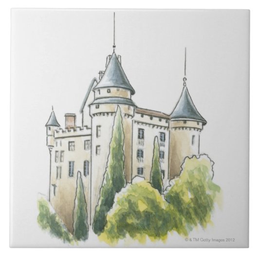 Chateau de Mercues、フランス タイル (正面)