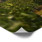 Chateau Lafleur Petrus and vineyard, in Pomerol, ポスター (角)