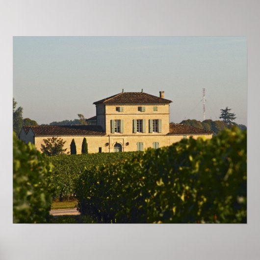Chateau Lafleur Petrus and vineyard, in Pomerol, ポスター (正面)