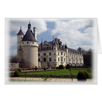 Chateauu de Chenonceau