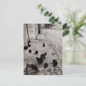 Chats Bercy – パリ – 1974 – ロバート・ドイスノー ポストカード (スタンド正面)