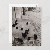 Chats Bercy – パリ – 1974 – ロバート・ドイスノー ポストカード (正面/裏面)