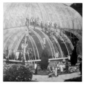 Chatswの素晴らしい温室への修理をすること タイル (正面)