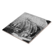 Chatswの素晴らしい温室への修理をすること タイル (側面)