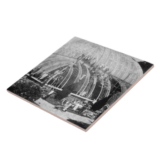 Chatswの素晴らしい温室への修理をすること タイル (側面)