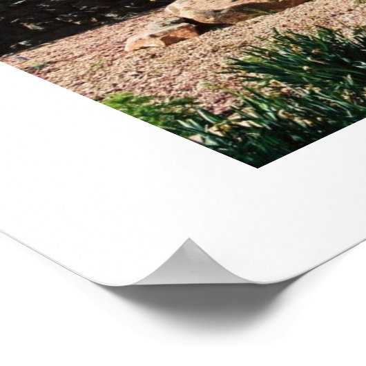 Chautauqua Park, Boulder, Colorado ポスター (角)