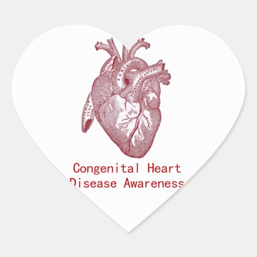 CHD認識度シール ハートシール (正面)