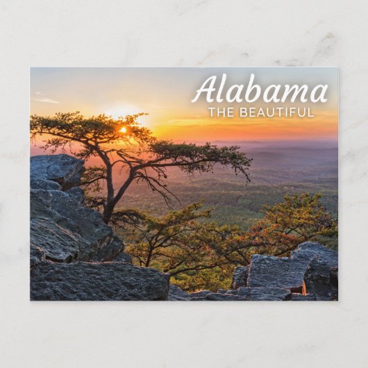 Cheaha State Park, Alabama Postcard ポストカード (正面)