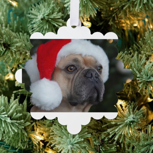 CHEAPすごい Christmas Giftの写パーソナライズされた真 オーナメントカード (インサイチュ (木))