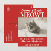 「Check Meowt」新しいCatの発表 ポストカード (正面/裏面)