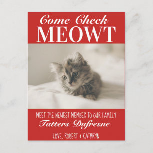 「Check Meowt」新しいCatの発表 ポストカード