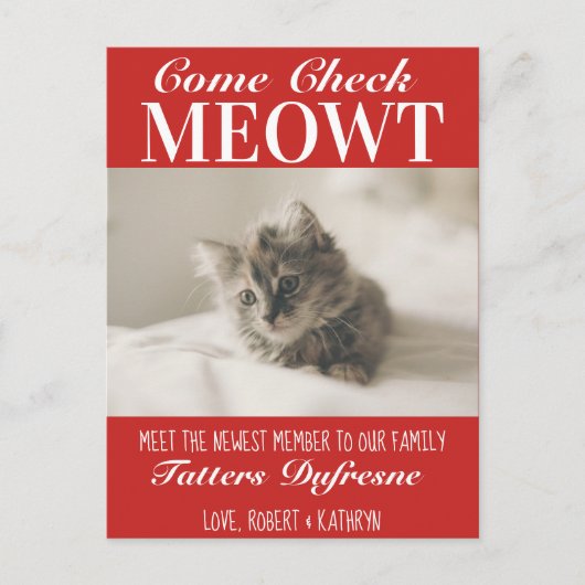 「Check Meowt」新しいCatの発表 ポストカード (正面)