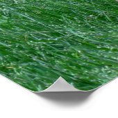 Checking it Out ポスター (角)