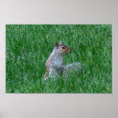 Checking it Out ポスター (正面)