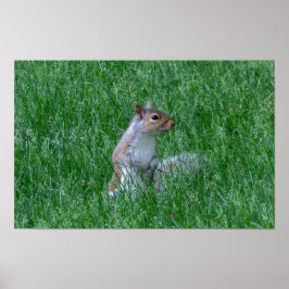 Checking it Out ポスター