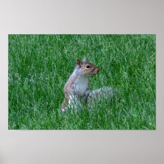 Checking it Out ポスター (正面)