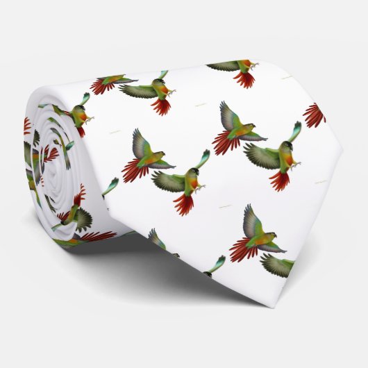 Cheeked緑のConuresのタイ ネクタイ (ロール)