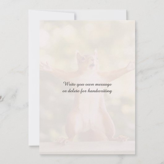 🎓Cheeky Squirrel Congrats Card  招待状 (裏面)