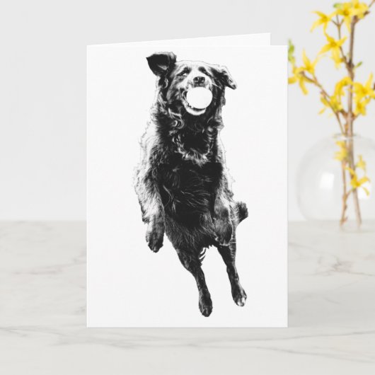 Cheer in soft motion カード (黄色い花)