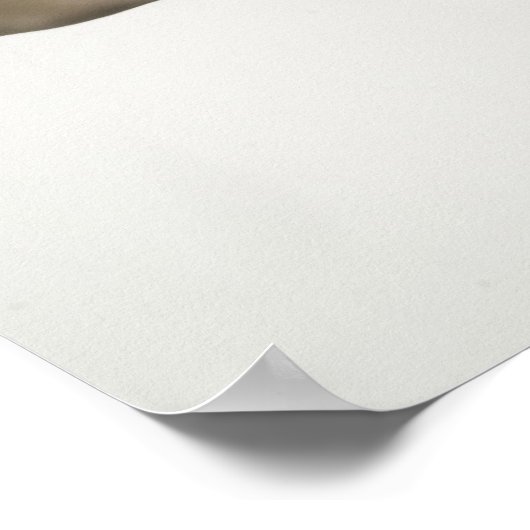 Cheerleader doing splits in mid air ポスター (角)