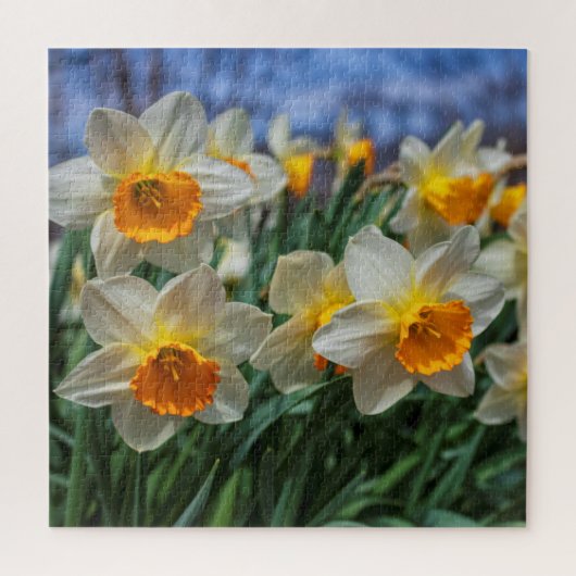 Cheery Daffodils 20"x20"難しい ジグソーパズル (縦)